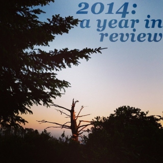 2014: a year in review