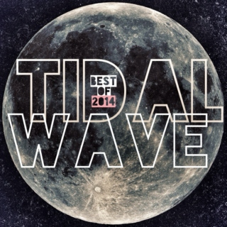 Tidal Wave: Best of 2014