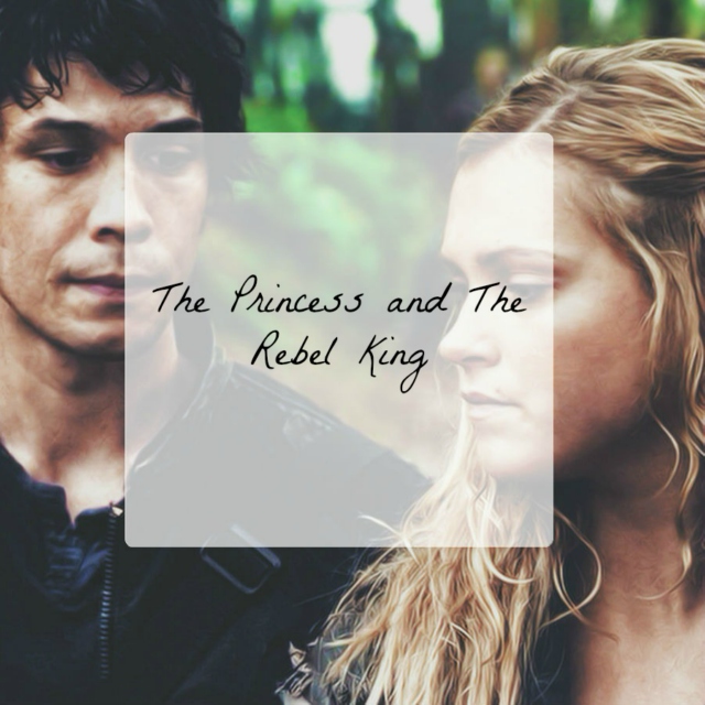 The Princess and the Rebel King