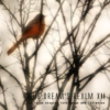 this dream's realm XII - ...of birds singing love songs and lullabies