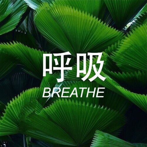 呼吸