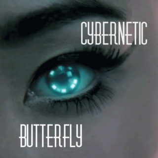 Cybernetic Butterfly