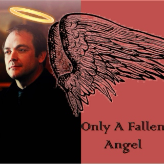 Only A Fallen Angel