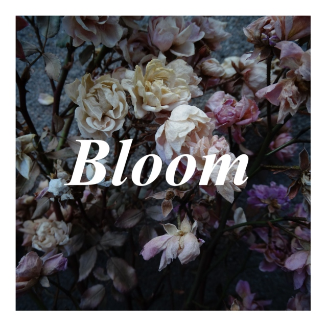 Bloom Again