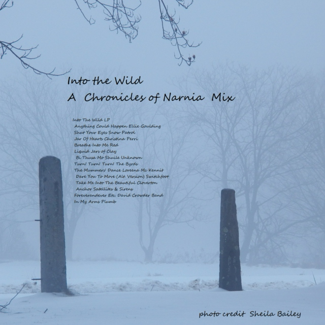 Into the Wild: Chronicles of Narnia pt1 (unofficial fan mix)
