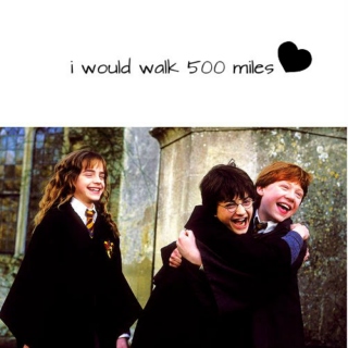 i would walk 500 miles