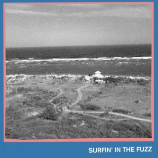 Surfin' In The Fuzz