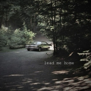 lead me home