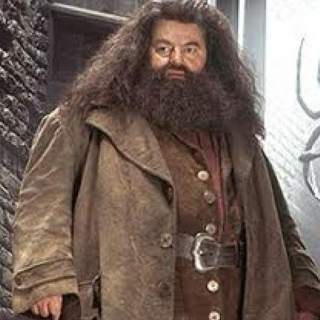 Hagrid is The Best