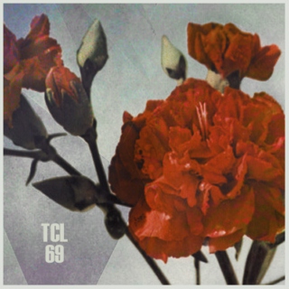 TCL Playlist-69