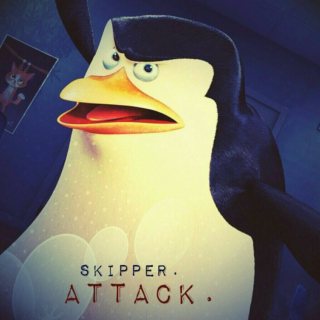 Skipper. Attack.