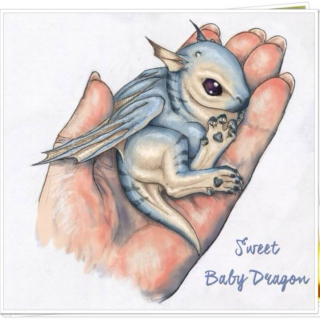 Sweet Baby Dragon