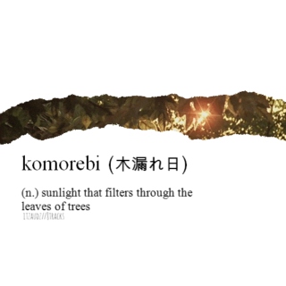 Komorebi (木漏れ日)