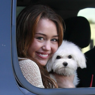 Miley Cyrus - Puppy Shuck