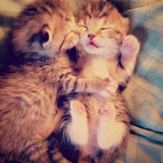 Let's cuddle...