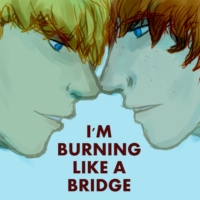 i'm burning like a bridge