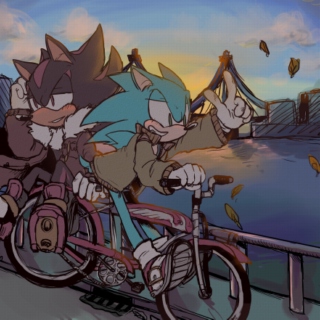*shadow voice* Straight to Sonadow Hell