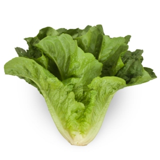 Lettuce Spend the Rest of Our Lives Together