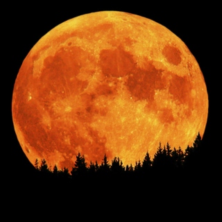 Orange Moon Rising