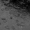 Soft Rain Soundtrack