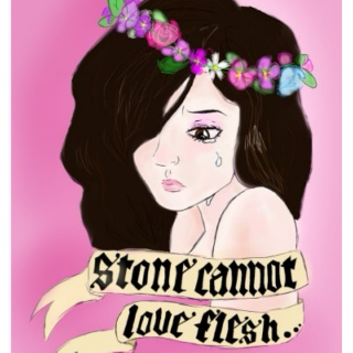 stone cannot love flesh