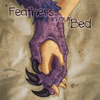 Feathers in our Bed