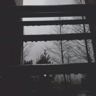 Rain / gloom
