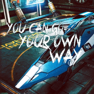 YOU CAN GO YOUR OWN WAY