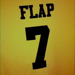 Flap Tracks #3