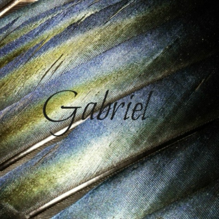 Gabriel: Fan Mix Yourself