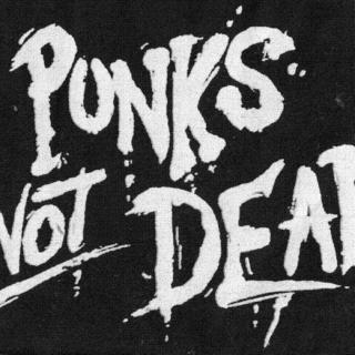 Im punk rock,  I promise
