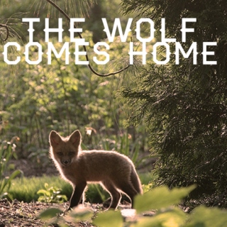 the wolf comes home