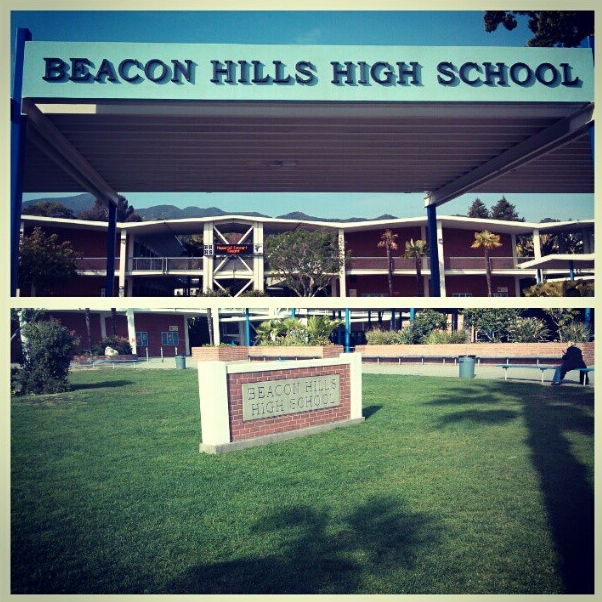 what is the beacon hills high school reunion｜TikTok Search