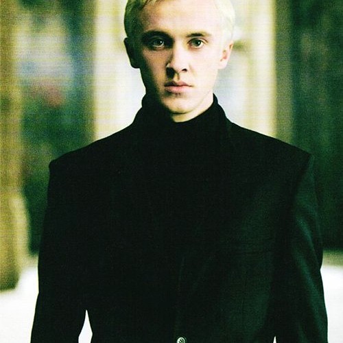 the slytherin king Draco