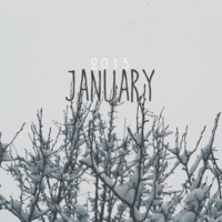 2015: january