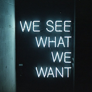 WE SEE WHAT WE WANT