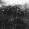☁ Rainy Day ☁