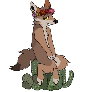 Cacti and Coyotes