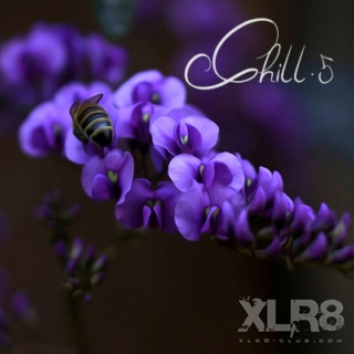 XLR8-Club - Chill.5