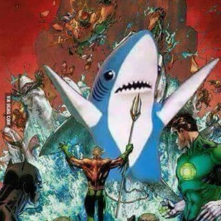 All hail the mighty Shark!