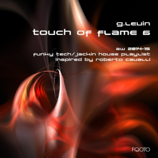 AW 2014-15 #66 Touch of Flame 6