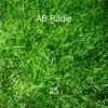 AB Radio 25