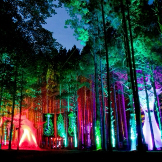 ELECTRIC FOREST '15