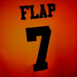 FlapTracks #4