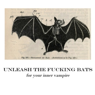 UNLEASH THE GNIKCUF BATS