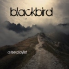 Blackbird - A Rise Playlist