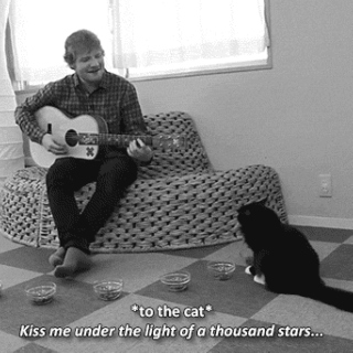 Ed Sheeran acoustic