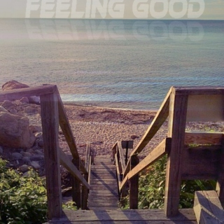 *・°☆ Feeling Good☆°・*