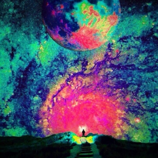 LSD Journey