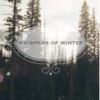 Whispers of Winter, 2014-2015.